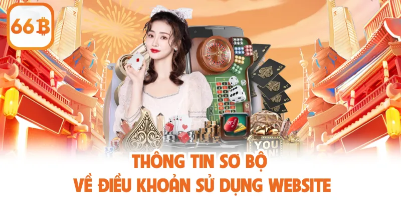 Thông tin sơ bộ về điều khoản sử dụng website